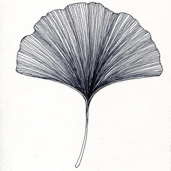 rooftopginkgo